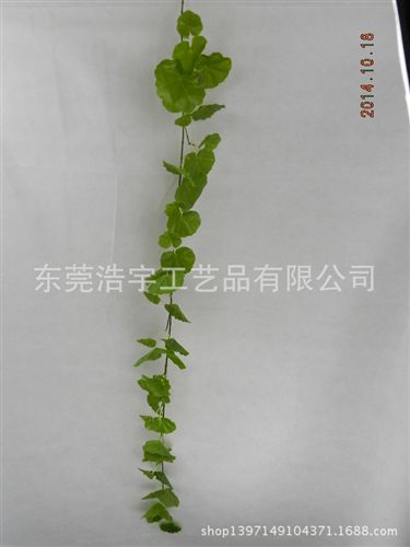 藤條/把束/壁掛 仿真植物葉片藤條壁掛 庭院柵欄 大型場所天花裝飾藤條 批發