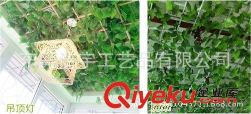 藤條/把束/壁掛 仿真植物葉片藤條壁掛 庭院柵欄 大型場所天花裝飾藤條 批發原始圖片3