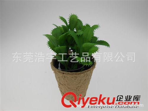 仿真小花草盆栽系列 優質仿真菠蘿葉盆栽 歐美暢銷栽 簡單仿真植物 廠家直銷