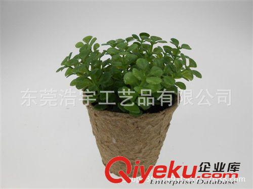 仿真小花草盆栽系列 優質仿真菠蘿葉盆栽 歐美暢銷栽 簡單仿真植物 廠家直銷原始圖片3