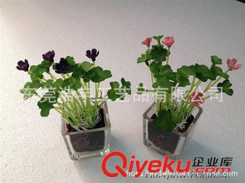 仿真小花草盆栽系列 辦公室中小型盆栽 綠色花草植物盆栽批發 青葉綠蘿吊蘭盆景