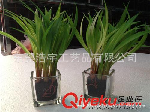 仿真小花草盆栽系列 辦公室中小型盆栽 綠色花草植物盆栽批發 青葉綠蘿吊蘭盆景原始圖片3