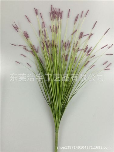 洋蔥草/麥穗/狗尾草系列 仿真蘆葦草 gd手工仿真PVC洋蔥草 魚線草 廠家直銷