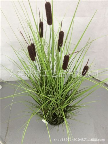 洋蔥草/麥穗/狗尾草系列 專業(yè)生產(chǎn) 仿真洋蔥草把束 家居裝飾插花配件 洋蔥草盆栽 批發(fā)