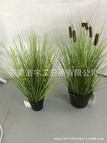 洋蔥草/麥穗/狗尾草系列 gd裝飾田園風(fēng)格 仿真洋蔥草 塑料草 裝飾配件植物原始圖片2