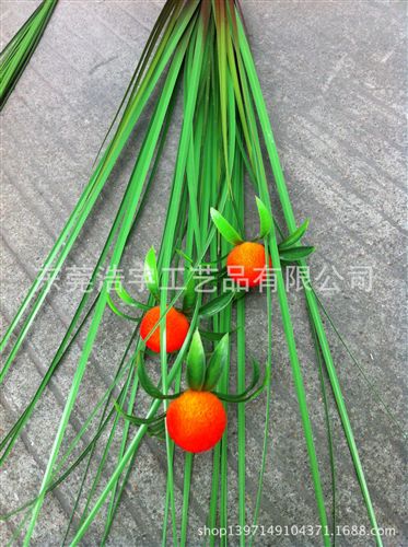洋蔥草/麥穗/狗尾草系列 專業(yè)生產(chǎn) 仿真洋蔥草把束 家居裝飾插花配件 洋蔥草盆栽 批發(fā)