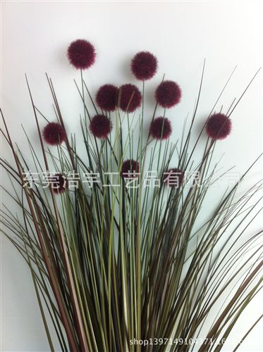 洋蔥草/麥穗/狗尾草系列 酒店裝飾 優(yōu)質(zhì)仿真洋蔥草 廠家直銷 大把束仿真洋蔥草原始圖片3