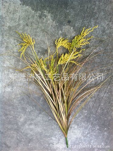 洋蔥草/麥穗/狗尾草系列 優(yōu)質(zhì)仿真麥穗  裝飾酒店 家居 仿真麥穗 gf真質(zhì)感原始圖片3