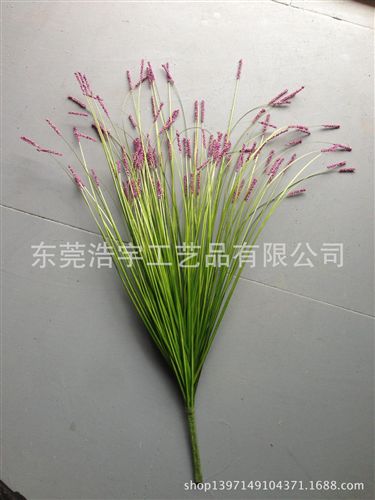 洋蔥草/麥穗/狗尾草系列 優(yōu)質(zhì) gf 塑料草 裝飾仿真草 gd裝飾田園風(fēng)格 仿真洋蔥草原始圖片3