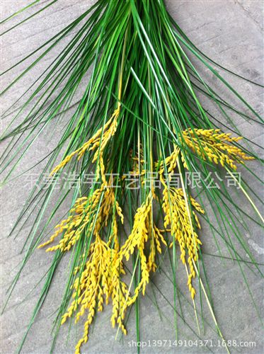 洋蔥草/麥穗/狗尾草系列 專業(yè)生產仿真稻谷麥穗 田園植物中國風情