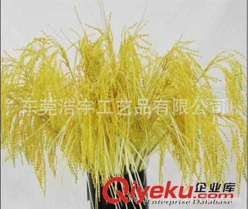 洋蔥草/麥穗/狗尾草系列 仿真狗尾草 專業(yè)仿真草類植物 洋蔥草仿真盆景