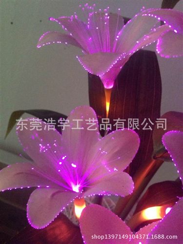 LED燈樹 【新款熱賣】光纖仿真植物燈花 燈樹 舞臺效果熒光燈 批發(fā)原始圖片3