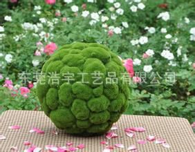 仿真花草球系列 廠家熱銷   仿真足球仿真植絨假球 有品質   可大量定制原始圖片2
