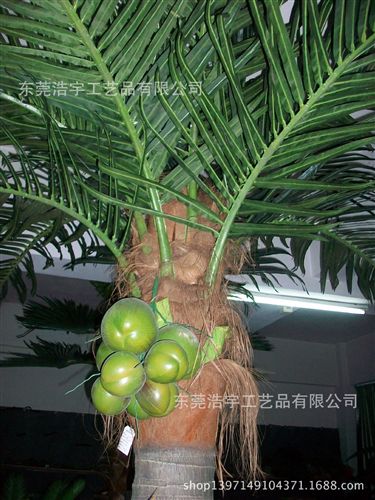 仿真蔬果系列 優質仿真椰子果 道具使用 仿真椰果園林景觀