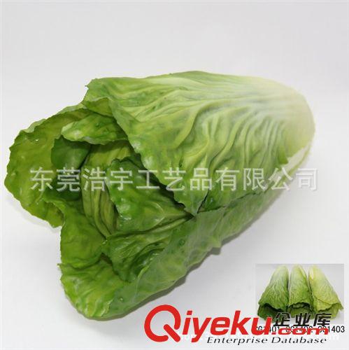 仿真蔬果系列 廠家直銷 仿真白菜室內裝飾假蔬菜  人造蔬菜 可來圖定制
