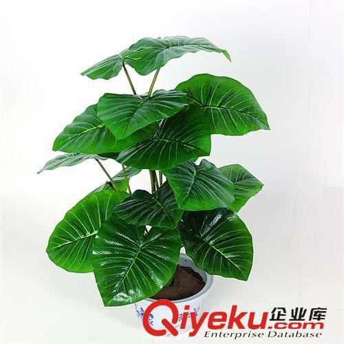 仿真植物 仿真花 塑料花藤壁掛 家居裝飾 葡萄葉壁掛 裝飾花藤條 壁飾裝飾