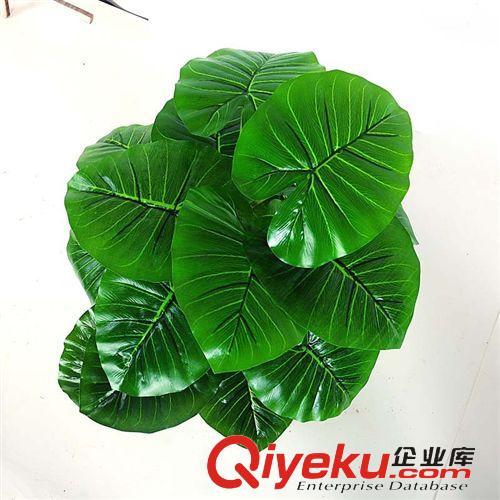 仿真植物 仿真花仿真盆景居家辦公室盆栽盆景擺放裝飾滴水觀音廠家銷售帶盆原始圖片3