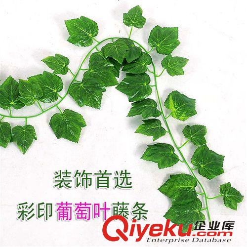 仿真植物 仿真花 爬山虎藤條 假花常青藤 空調(diào)客廳酒店裝飾 彩印葡萄葉藤條原始圖片2