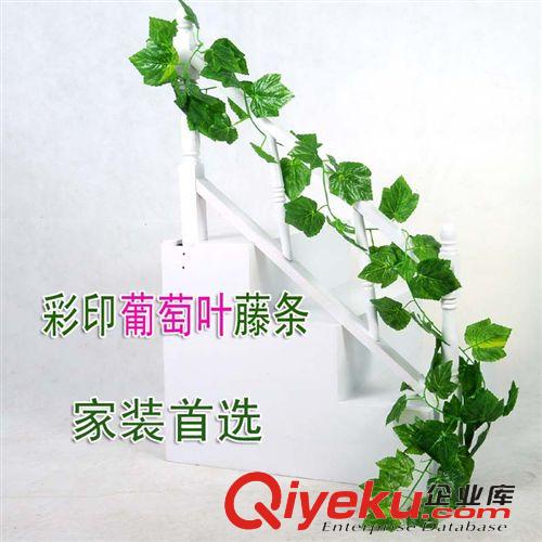 仿真植物 仿真花 爬山虎藤條 假花常青藤 空調(diào)客廳酒店裝飾 彩印葡萄葉藤條原始圖片3