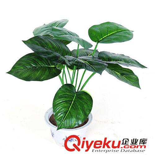 仿真植物 仿真花 壁掛壁飾家裝 西瓜葉小壁掛 墻體裝飾 家居裝飾 綠色家裝