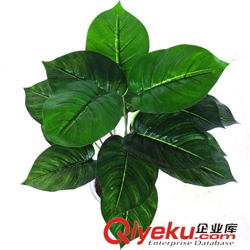 仿真植物 仿真花仿真盆景居家辦公室盆栽盆景擺放裝飾小萬年青廠家銷售帶盆原始圖片2