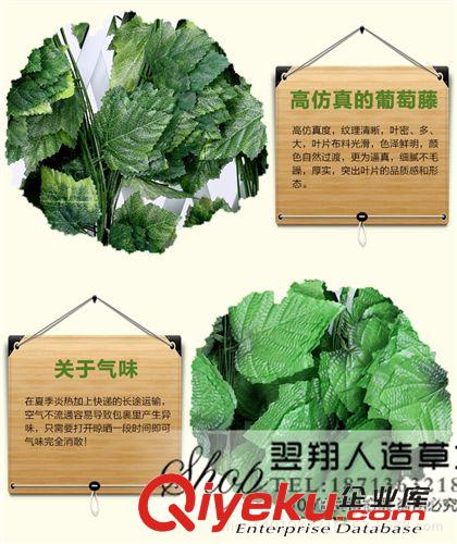葉子藤條 廠家直銷仿真大葡萄藤 吊頂管道裝飾藤條藤蔓 葡萄葉子原始圖片3