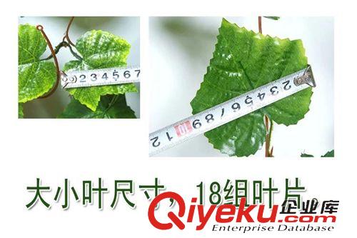 葉子藤條 仿真葡萄藤 綠蘿藤 斑馬紋葉 彩印布  加長加密 裝飾藤條原始圖片3