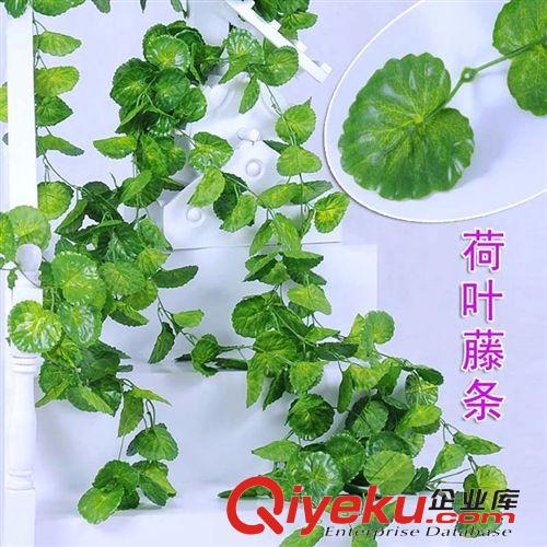 葉子藤條 仿真海棠葉 別名荷葉 銅錢葉 彩印布 密度高 裝飾藤