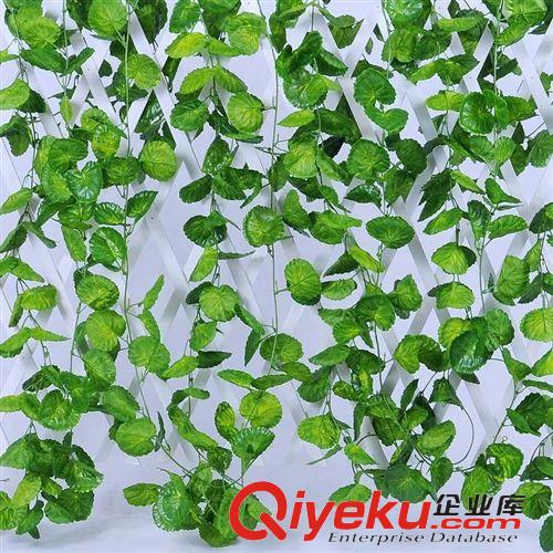 葉子藤條 仿真海棠葉 別名荷葉 銅錢葉 彩印布 密度高 裝飾藤