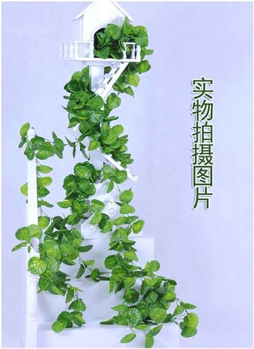 葉子藤條 仿真海棠葉 別名荷葉 銅錢葉 彩印布 密度高 裝飾藤