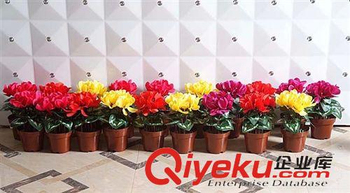 把花 廠家直銷(xiāo) 仿真花仙客來(lái)帶盆出售 盆景 盆栽 綠植裝飾花 走廊裝飾