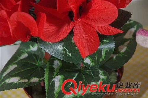 把花 廠家直銷(xiāo) 仿真花仙客來(lái)帶盆出售 盆景 盆栽 綠植裝飾花 走廊裝飾