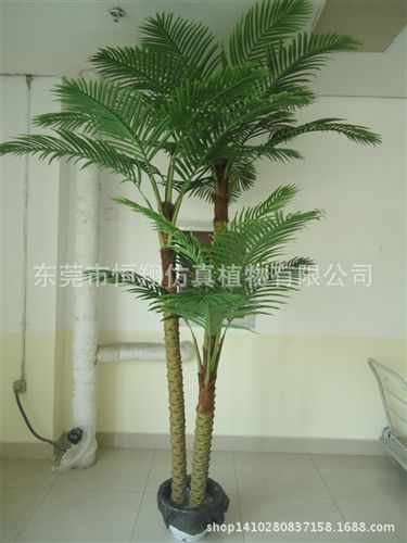 仿真樹系列 園林景觀椰子樹 仿真棕櫚樹  加納利海棗樹 各種仿真樹生產(chǎn)定做原始圖片3