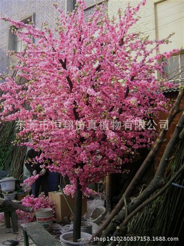 仿真樹系列 廠家直銷3.5米楓樹 包柱紅楓樹  景觀工程裝飾仿真大樹  婚慶用品