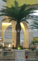 仿真樹(shù)系列 恒翔仿真大樹(shù) 定做各種仿真椰子樹(shù) 大王椰樹(shù) 酒瓶椰樹(shù) 仿真植物