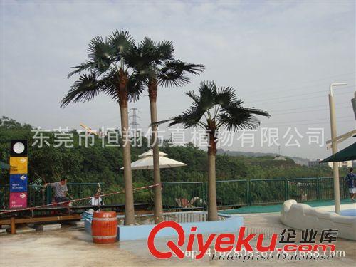 仿真樹(shù)系列 恒翔仿真大樹(shù) 定做各種仿真椰子樹(shù) 大王椰樹(shù) 酒瓶椰樹(shù) 仿真植物原始圖片2