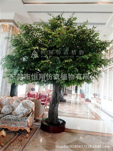 仿真樹系列 棕櫚樹 人字皮仿真棕櫚樹 老人葵 扇葵樹  各種仿真大樹生產(chǎn)定做