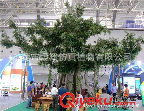 仿真樹系列 廠家直銷仿真榕樹 造型榕樹 特大玻璃鋼榕樹  裝飾仿真大樹工程原始圖片3