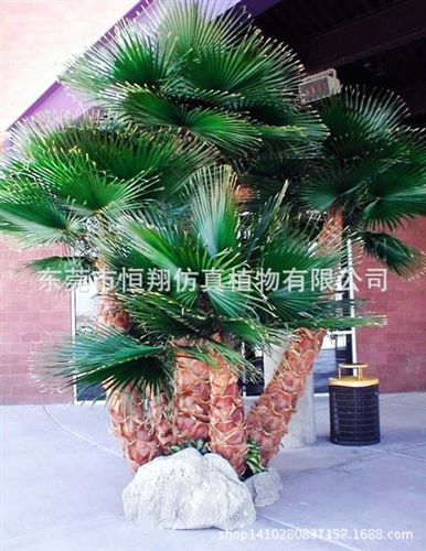 仿真樹系列 棕櫚樹 人字皮仿真棕櫚樹 老人葵 扇葵樹  各種仿真大樹生產(chǎn)定做原始圖片3