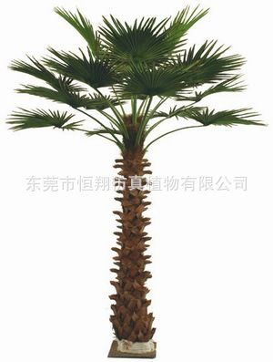 仿真樹系列 廠家直銷仿真海棗樹 中東海藻樹 加納利海藻樹 各種仿真大樹生產(chǎn)