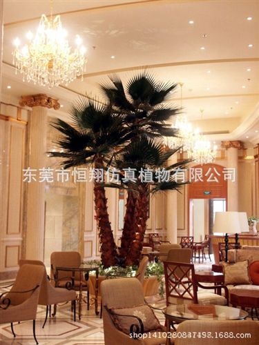 仿真樹系列 廠家直銷仿真棕櫚樹 老人葵 皇后葵用于各種室內(nèi)外葵扇樹仿真大樹原始圖片2
