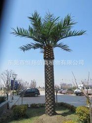 仿真樹系列 假海棗樹 中東海棗樹 棕櫚樹各種仿真大樹 廠家直銷仿真植物