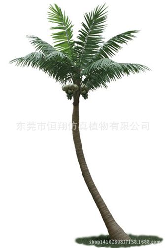 仿真樹系列 東莞仿真植物椰子樹   海南椰子樹工程定做 各種仿真植物原始圖片2