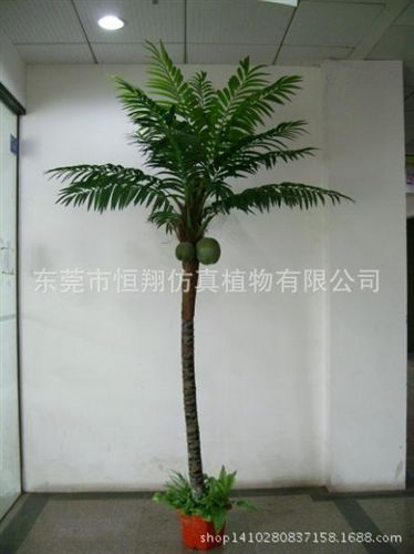 仿真樹(shù)系列 廠(chǎng)家定做各種仿真大樹(shù) 室內(nèi)外椰子樹(shù) 異形仿真椰子樹(shù) 人造景觀(guān)樹(shù)原始圖片3