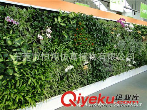 仿真植物墻 仿真植物墻 室內外植物墻 植物墻配件 婚慶用品專業(yè)定做
