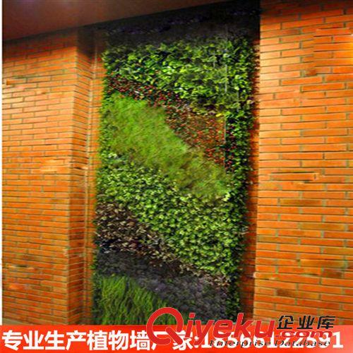 仿真植物墻 廠家直銷仿真植物 苔蘚球 定做各種規格形狀苔蘚球 人造苔蘚