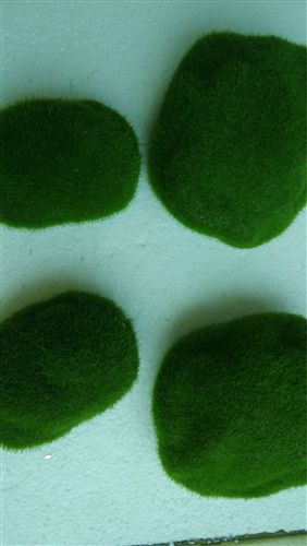 仿真植物墻 廠家直銷仿真植物 苔蘚球 定做各種規(guī)格形狀苔蘚球 人造苔蘚