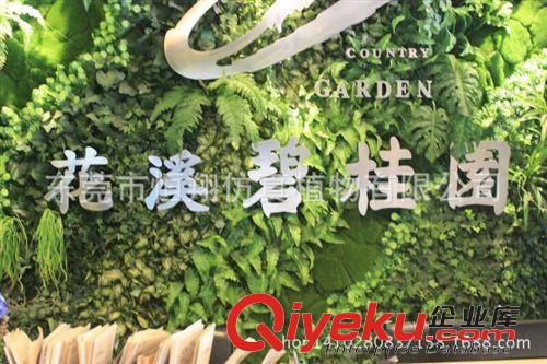 仿真植物墻 廠家直銷仿真植物墻 室內(nèi)外植物墻 各種仿真植物婚慶用品定做生產(chǎn)