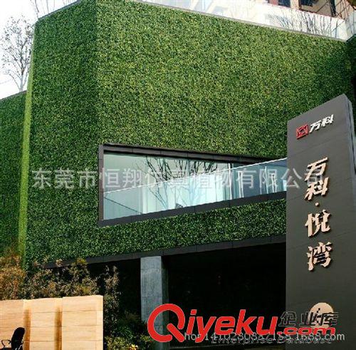 仿真植物墻 仿真植物墻 酒店會所商場米蘭草植物框墻　各種仿真植物 廠家直銷