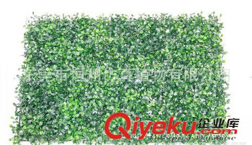 仿真植物墻 仿真植物墻 酒店會所商場原生態(tài)植物墻　各種仿真植物廠家直銷原始圖片2